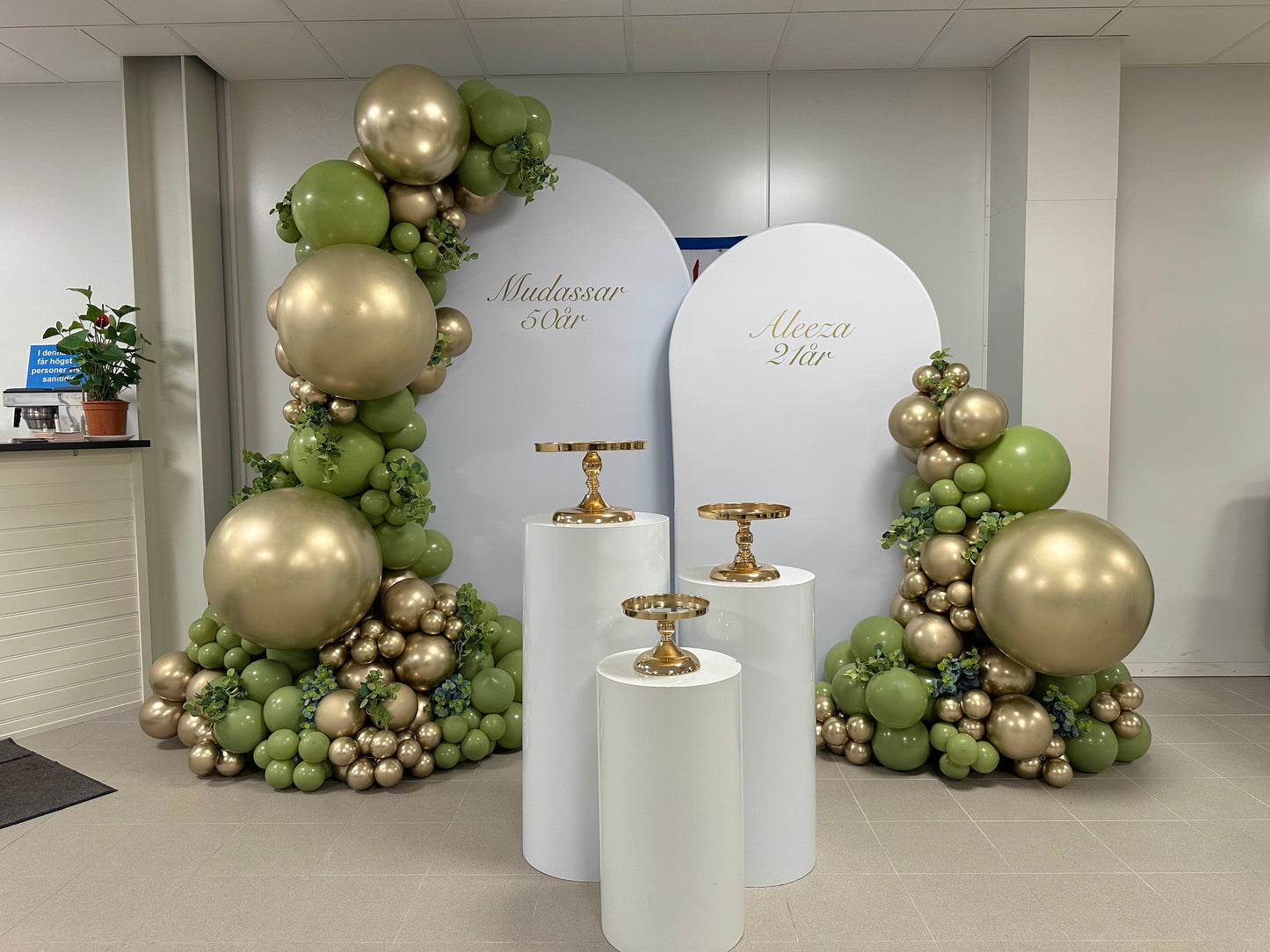 Green Olive Ballonger
